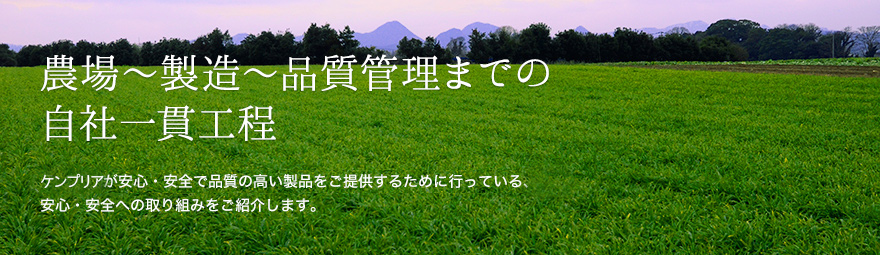 農場～製造～品質管理までの自社一貫工程